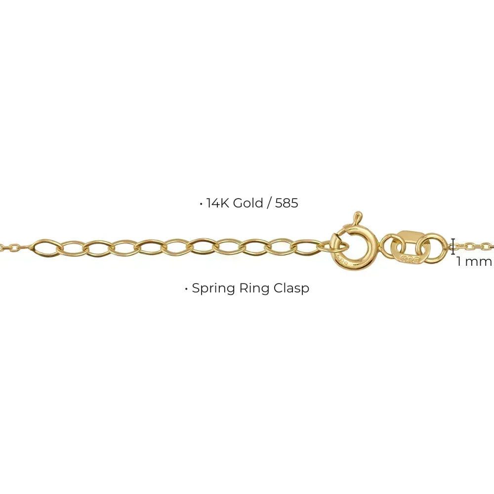 Gold chain with spring ring clasp on a white background
