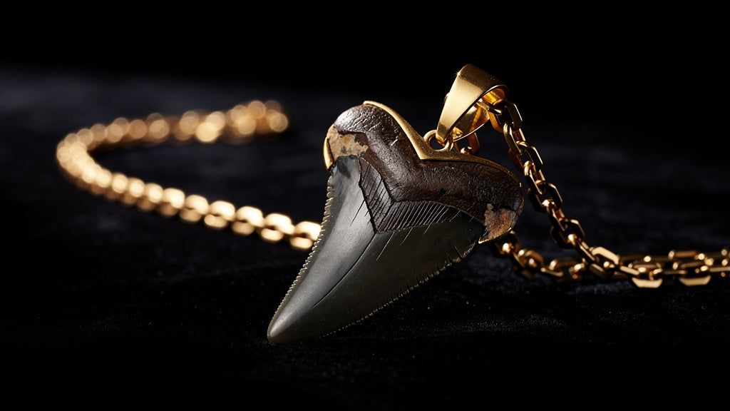 Megalodon tooth necklace with a fossil pendant on a gold chain