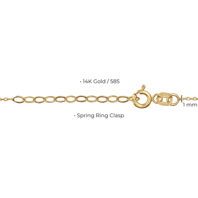 Gold chain with spring ring clasp on a white background