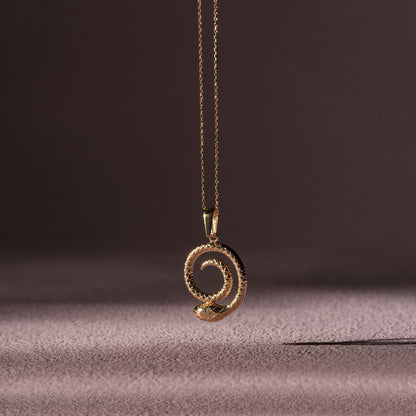 Gold necklace with a spiral pendant on a brown background